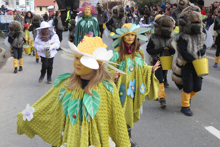 ZLATA POROKA PUSTNI KARNEVAL 50 FOTO LJUBO VUKELIČ
